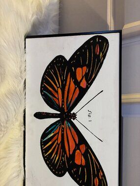 Butterfly Wall Art / Framed Print